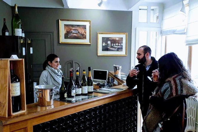 Loire Valley Wines and Castle Small Group Day Trip from Paris - The vineyards of Touraine, Vouvray, and Montlouis-sur-Loire