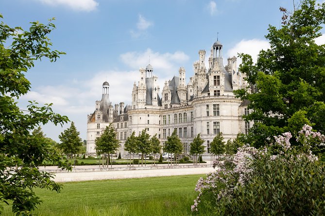 Loire Valley Wines and Castle Small Group Day Trip from Paris - Family wineries and the value of personal contact