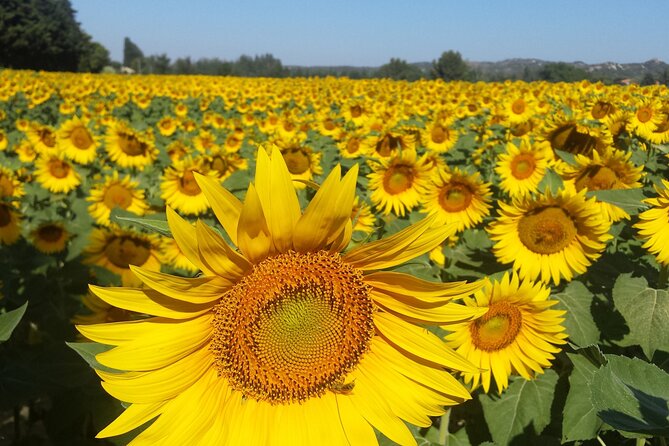 Luberon, Roussillon & Gordes Half-Day Tour from Avignon - How the stops fit together