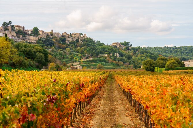 Luberon Small-Group Day Trip from Avignon - Ménerbes, a quieter final village