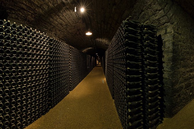 Luxury Luxury Wine Tour Experience - Château du Clos de Vougeot and famous vineyard names