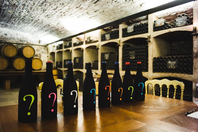 Luxury Luxury Wine Tour Experience - Buying bottles without pressure