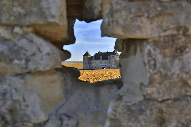 Luxury Luxury Wine Tour Experience - Starting at 9:30 in Beaune or Dijon
