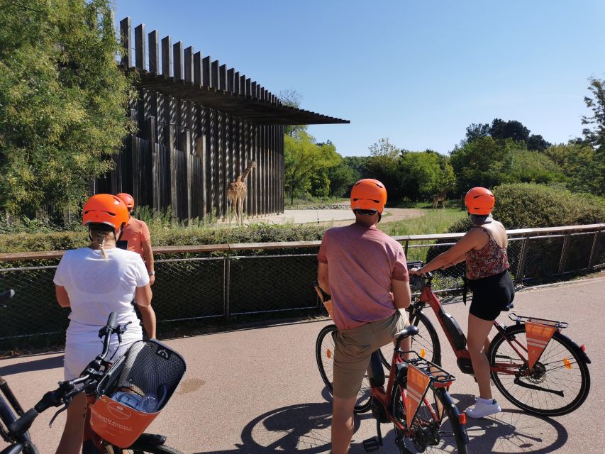 Lyon: 2-Hour Electric Bike Tour with a Local Guide - Starting near Vieux Lyon and the Palais de Justice
