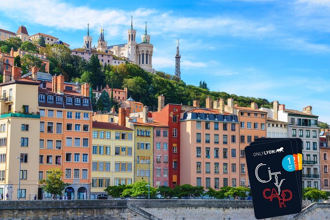 Lyon City Card Public Transportation & 40 attractions - Smaller museums for a second day