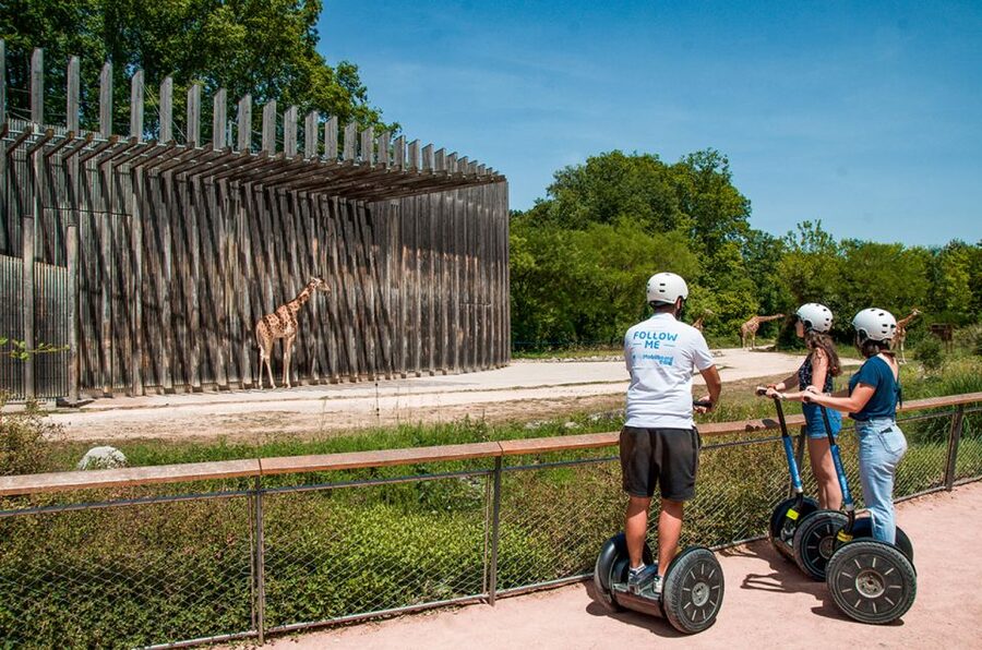 Lyon: City Segway Tour with a Local Guide - Is $56 a good price for two hours?