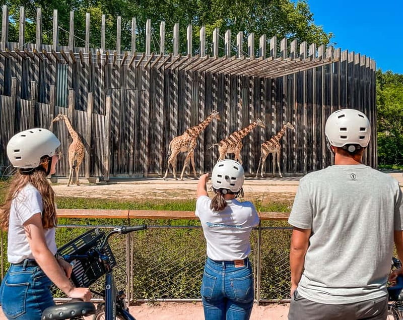 Lyon: Parc Tête d'Or eBike Tour - Key points to know before you book