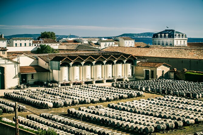 Maison Noilly Prat VIP tour, wine and vermouth tastings - Key points to know before you book