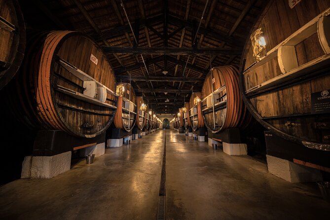 Maison Noilly Prat VIP tour, wine and vermouth tastings - Inside the cooperage and bar