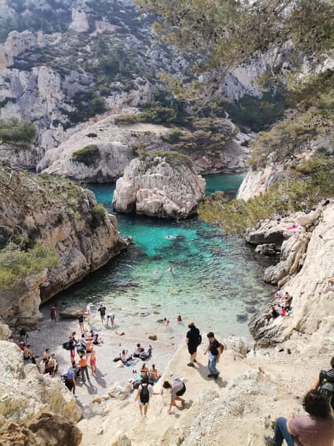 Marseille: Calanques National Park Guided Hike with Picnic - Choosing between Sugiton, Morgiou, and other coves