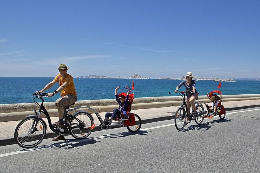 Marseille: City Highlights Guided Half-Day E-Bike Tour - Pharo and the first big harbor view