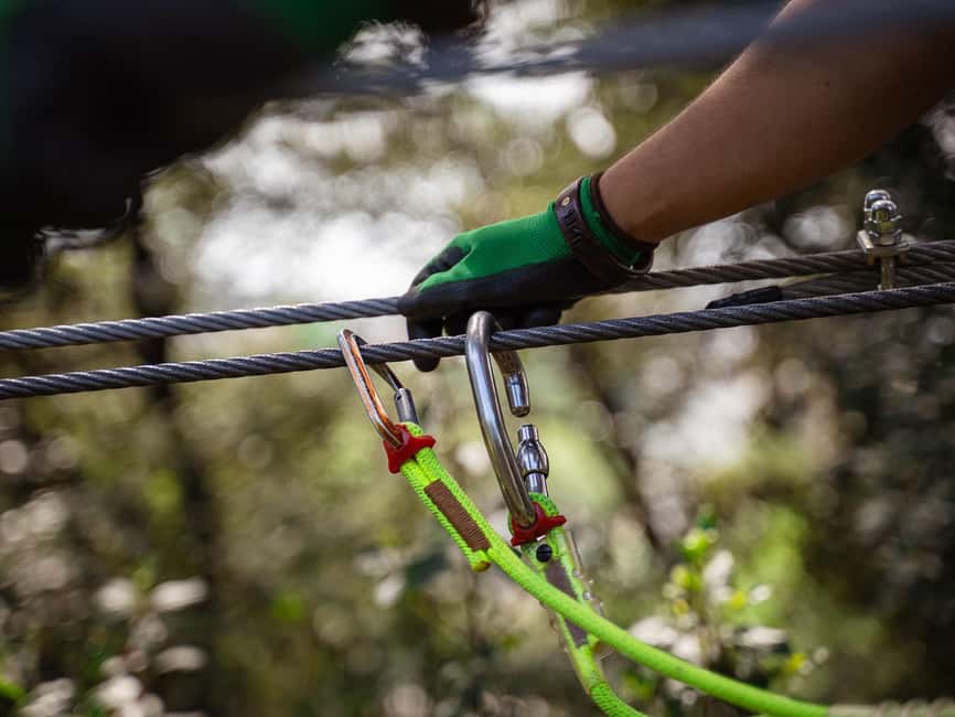 Marseille: Ecopark Adventures Treetop Adventure - What happens when you arrive