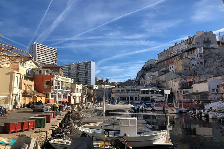 Marseille: Full-Day Guided E-Bike Coast & Calanques Tour - The Maronaise swimming break