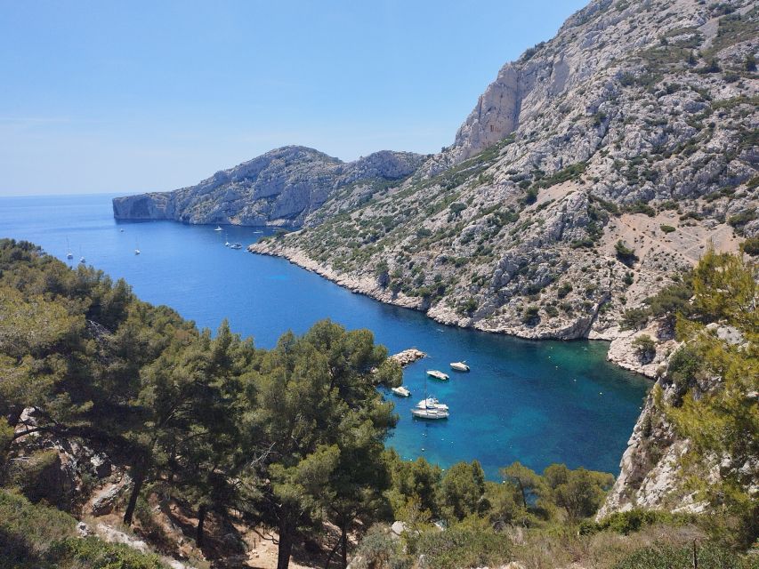 Marseille: Guided Hiking Calanques National Park from Luminy - Starting at Luminy and Leaving Marseille Behind