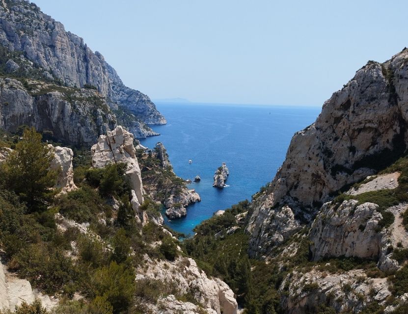 Marseille: Guided Hiking Calanques National Park from Luminy - Scenery, Plants, and Marseille Stories Along the Way