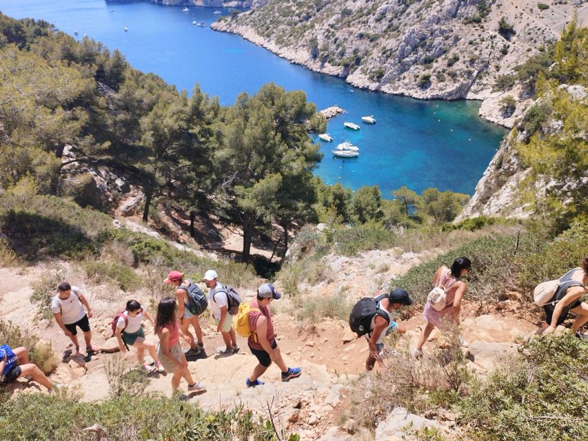 Marseille: Guided Hiking Calanques National Park from Luminy - The Cove and Crystal-Clear Water