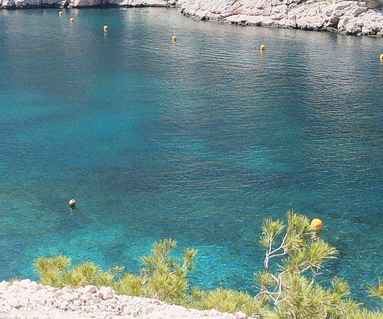 Marseille: Guided Hiking Calanques National Park from Luminy - Returning to Luminy in Four Hours