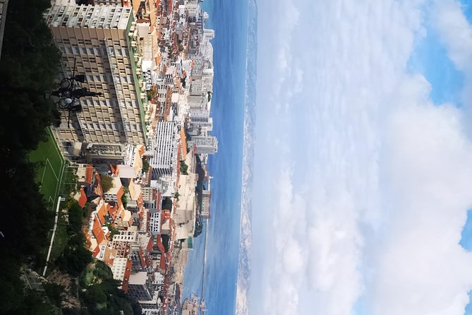 Marseille Shore Excursion: City Sightseeing Tour of Marseille - Free time at Le Vieux Port