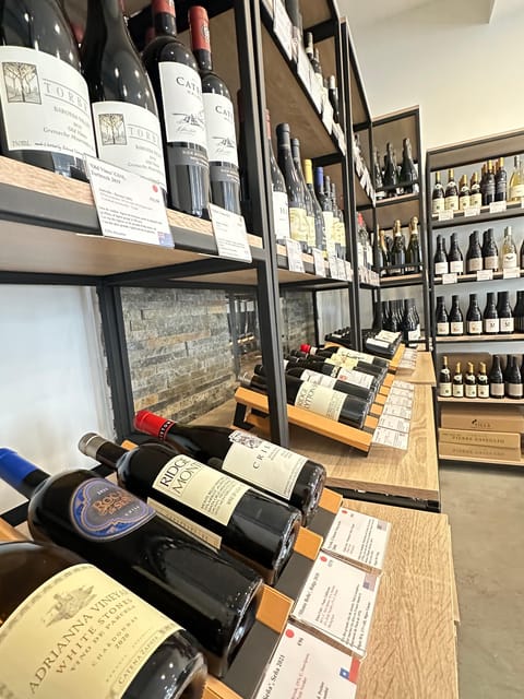 Marseille: Tailored Wine Tasting Experience in Top Wine Shop - What happens during the tasting