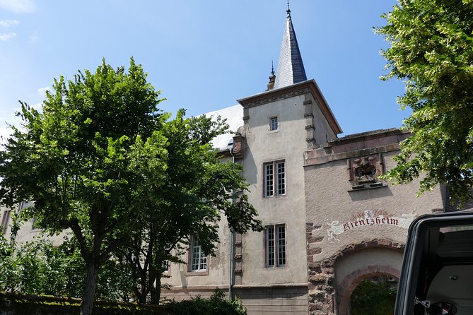 Medieval Villages and Wine Tasting from Strasbourg - Eguisheim, the final village with a different shape