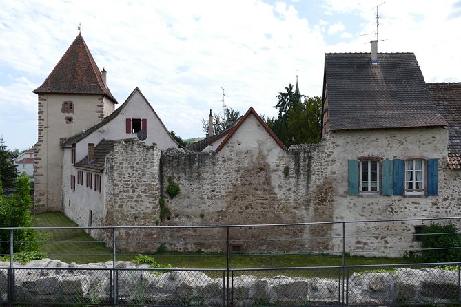 Medieval Villages and Wine Tasting from Strasbourg - The winemaker tasting and what you actually receive
