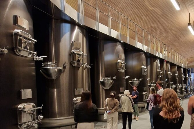 Medoc Afternoon Wine Tour - 2 Wineries, tastings & delicacies - The Route des Châteaux into Médoc