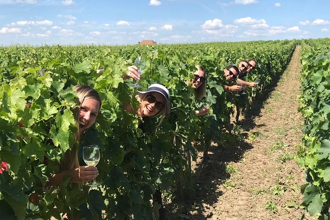 Medoc or Saint Emilion Wine Tasting and Chateau from Bordeaux - Two Bordeaux wine regions, one useful choice