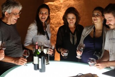 Medoc or Saint Emilion Wine Tasting and Chateau from Bordeaux