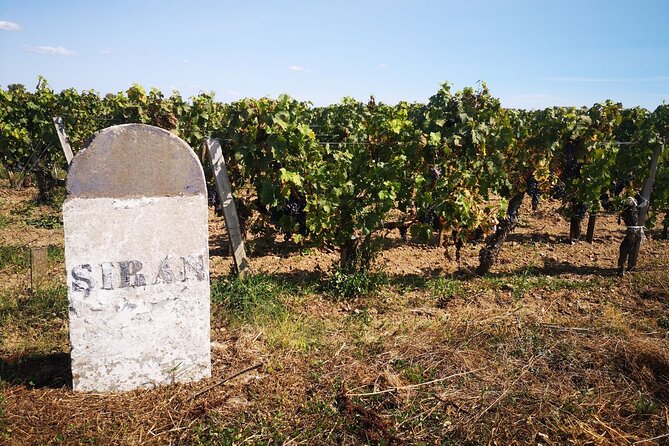Medoc Region Wine Day Trip with Vineyard Visits & Tastings from Bordeaux - The final classified growth or Crus Bourgeois estate