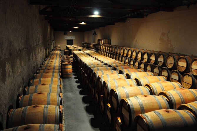Medoc Region Wine Day Trip with Vineyard Visits & Tastings from Bordeaux - How good is the guiding?