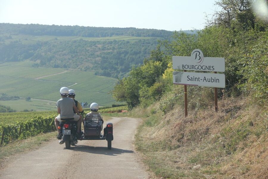 Meursault: Tour of the Vineyards on Motorbike with Sidecar - Weather, comfort, and who should ride