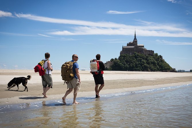 Mont-Saint-Michel bay walk - Key points before you book