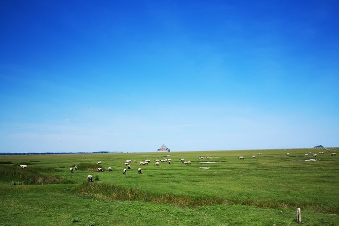 Mont Saint-Michel Day Trip from Bayeux (Shared tour) - Approaching the island and village