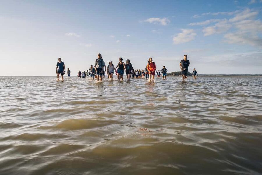 Mont-saint-Michel : Walk in the heart of the Bay - What $29 includes, and what it does not