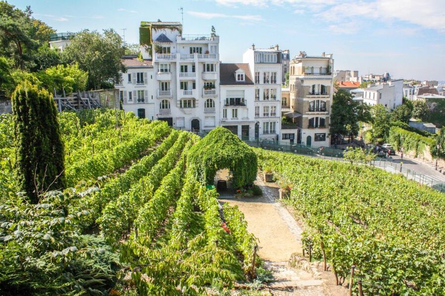 Montmartre & Sacré Coeur: 2.5-Hour Walking Tour - Key points at a glance