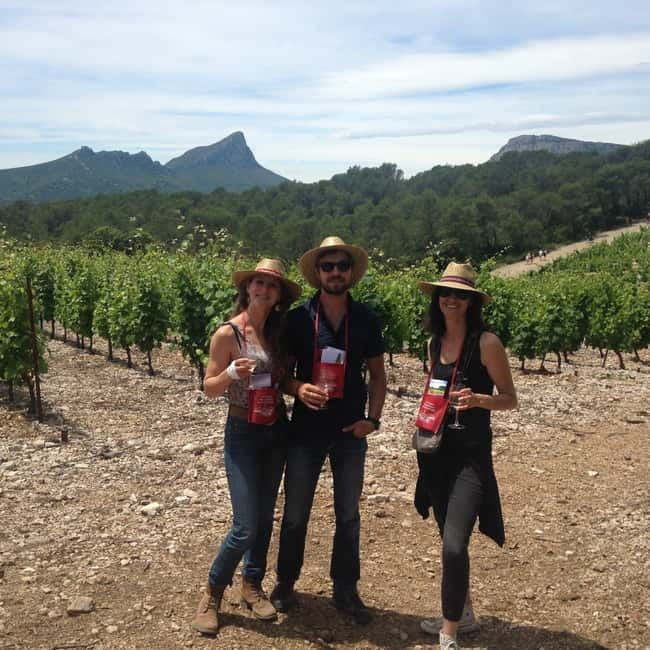 Montpellier: Pic Saint-Loup Wine Tour - Winery two: more comparison, more questions