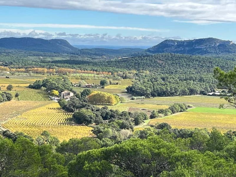 Montpellier: Pic Saint-Loup Wine Tour - A home-cooked meal at Bertrand’s family home
