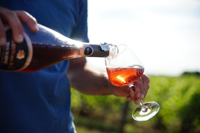 Morning - Loire Valley Wine Tour & Food Pairing, Vouvray - Key points for your Vouvray morning