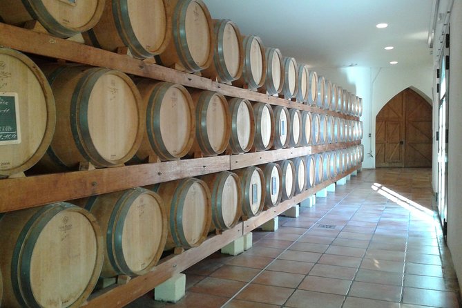 Morning Wine Tour to Chateauneuf du Pape from Avignon - Timing, comfort, and who should book