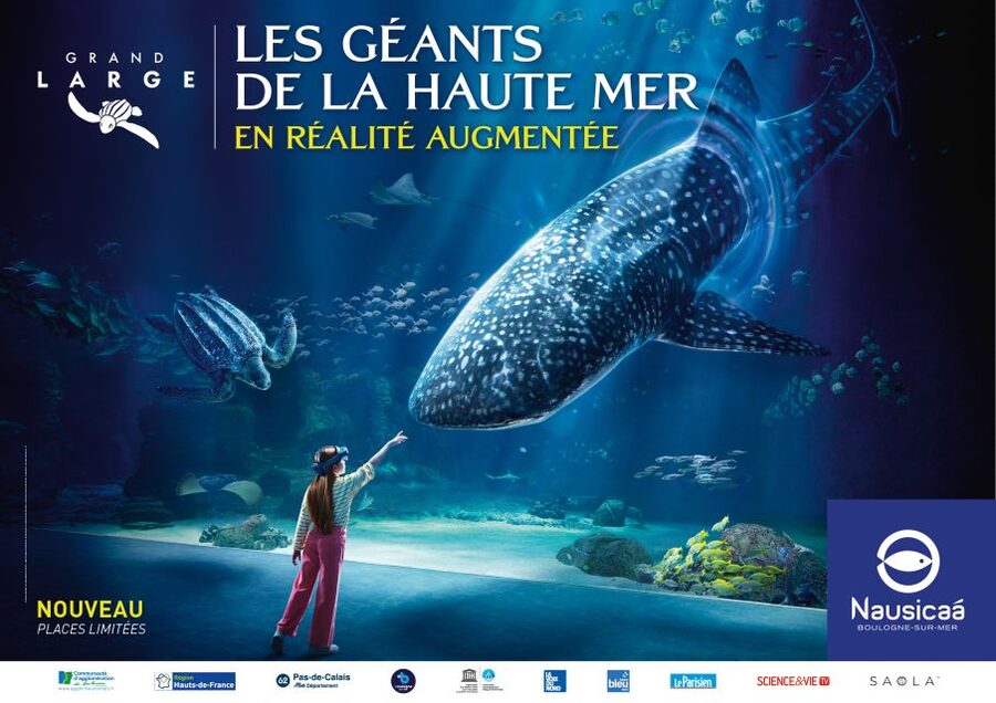 Nausicaá National Sea Center: Full-Day Entry Ticket - The big aquarium experience in Boulogne-sur-Mer