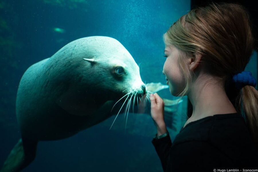 Nausicaá National Sea Center: Full-Day Entry Ticket - Who will enjoy Nausicaá most?