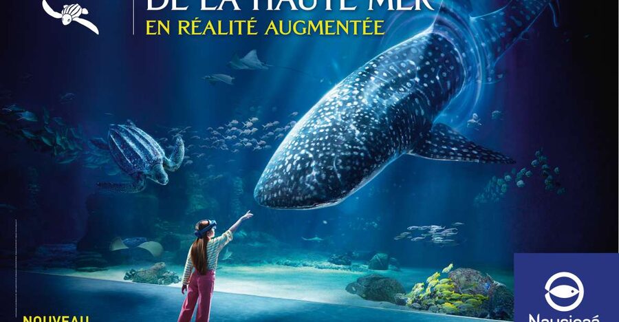 Nausicaá National Sea Center: Full-Day Entry Ticket - Three exhibitions, three ways to read the ocean