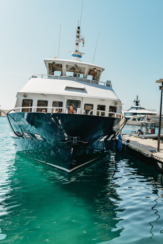 Nice: 1-Hour Sightseeing Cruise to Villefranche Bay - Key points at a glance