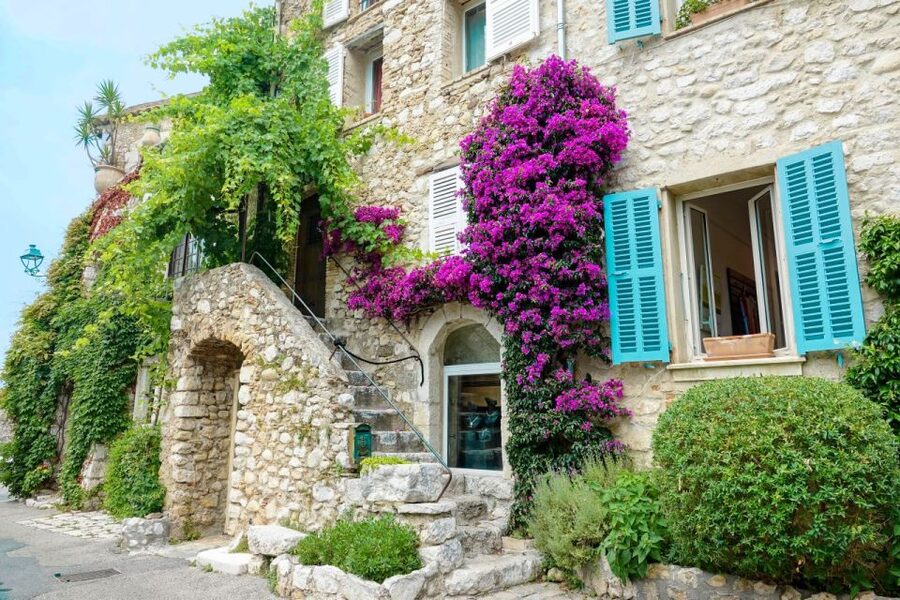 Nice: Cannes, Antibes & St Paul de Vence Half-Day Tour - What the guide adds to the route