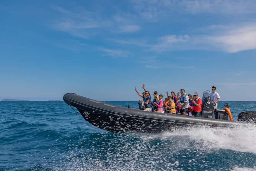 Nice: Coastline Boat Cruise to Monaco - Key points at a glance