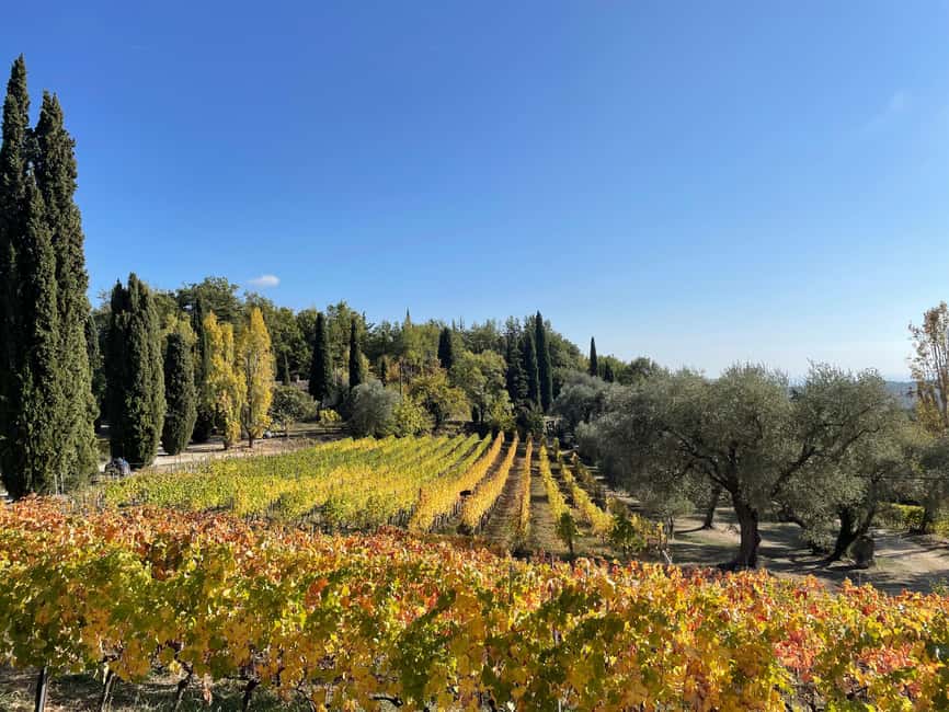 Nice: Full-Day Côtes de Provence Wine Tour - Why a full day in Côtes de Provence works