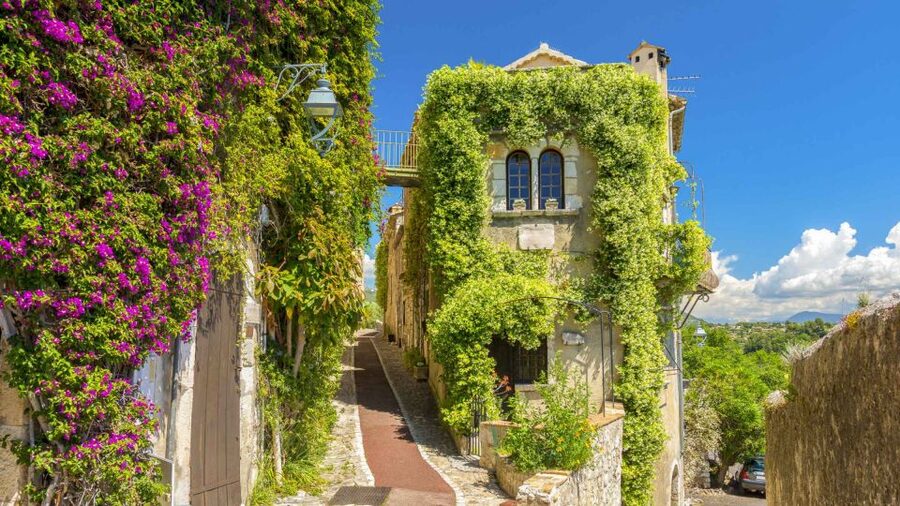 Nice: Medieval Villages Full-Day Guided Trip - Four Provençal villages in one well-planned day