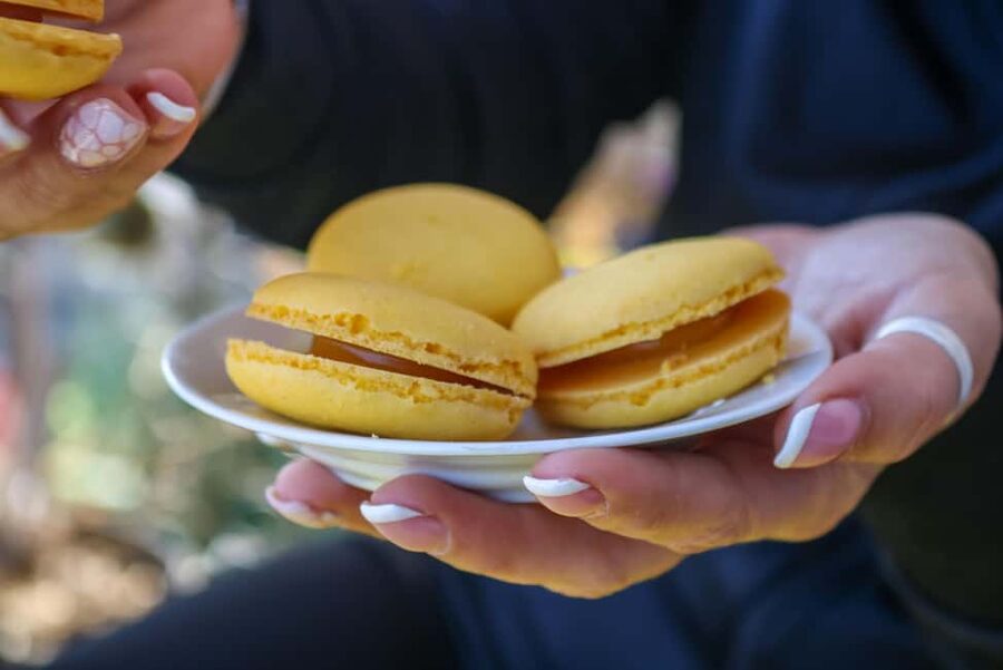 Nice: Old Town Food Walking Tour - A Guide Who Adds More Than Food Facts