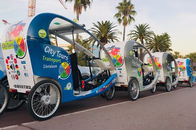 Nice: private guided Tour by electric taxi bike - The green center and the waterfront