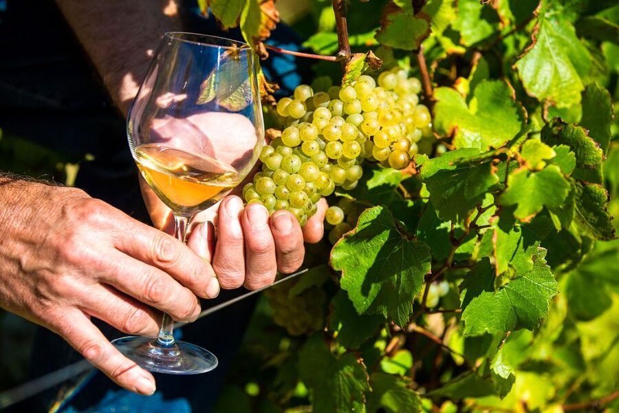 Nice: Provence Village Tour with Wine and Produce Tasting - Key points at a glance